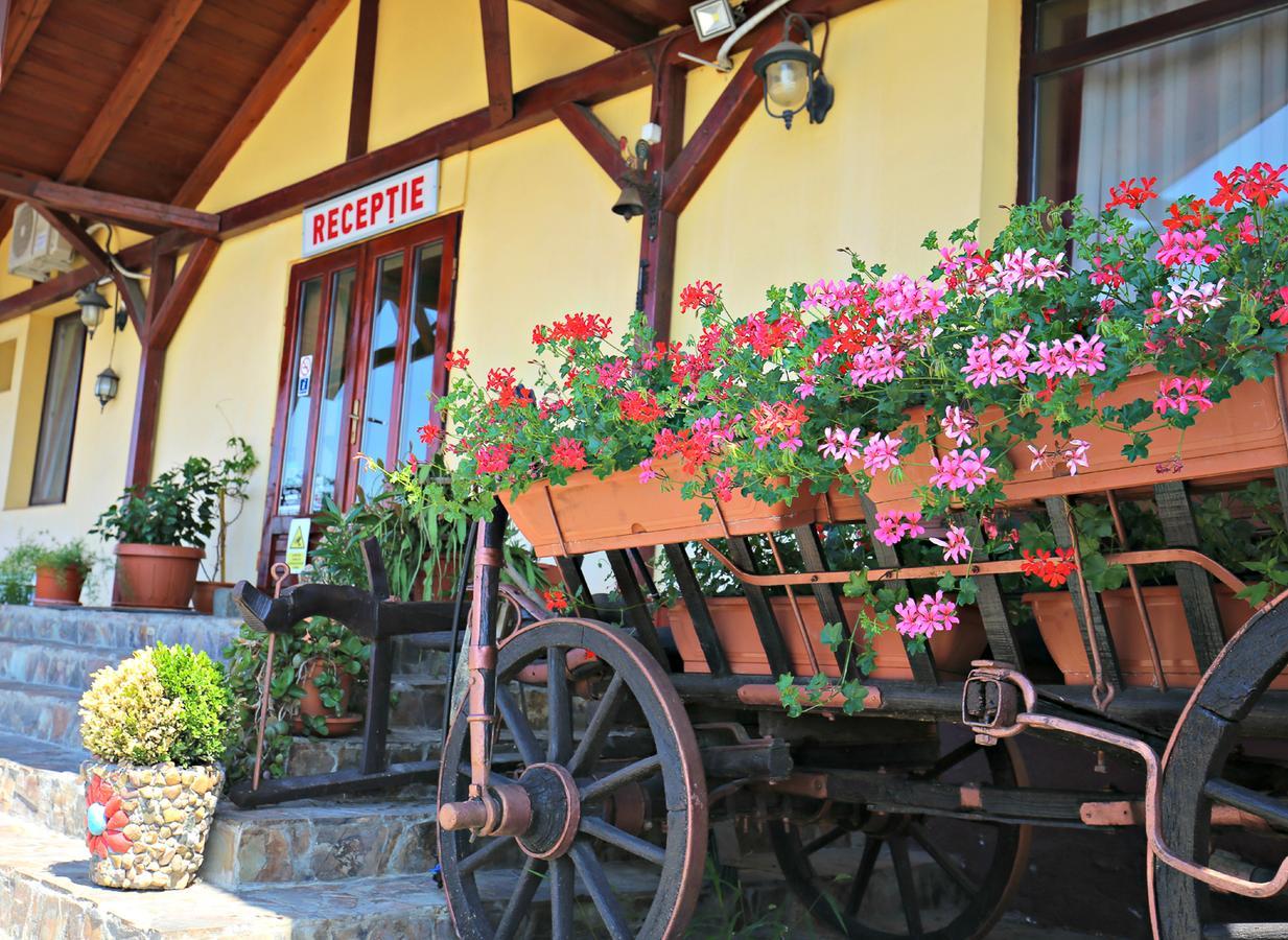Pension Varadia Орадя Екстер'єр фото